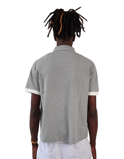 Polo billionaire